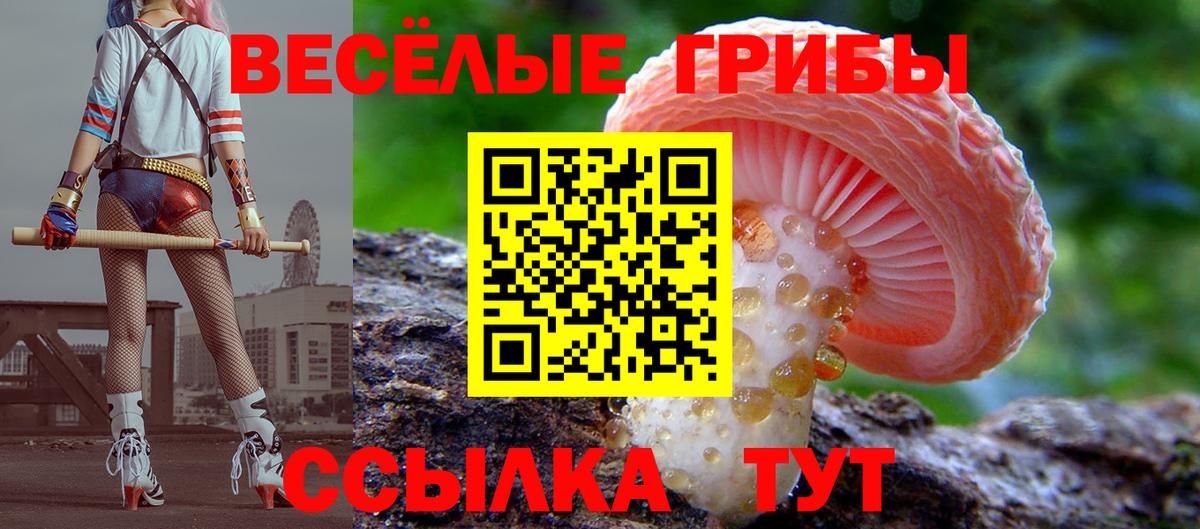Галлюциногенные грибы мухоморы Апрелевка