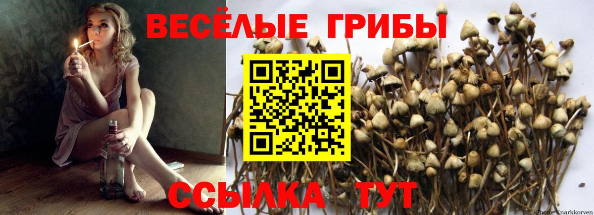 Апрелевка  Галлюциногенные грибы MAGIC MUSHROOMS  наркотики  Галлюциногенные грибы Magic Shrooms  Вход с VPN 